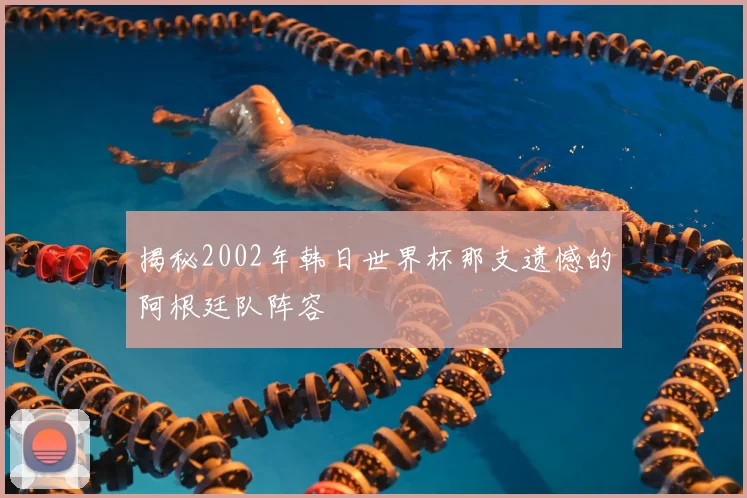 揭秘2002年韩日世界杯那支遗憾的阿根廷队阵容