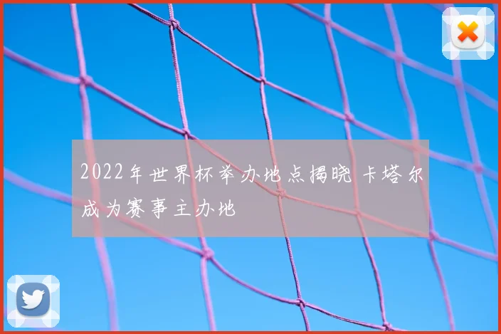 2022年世界杯举办地点揭晓 卡塔尔成为赛事主办地