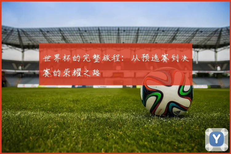 世界杯的完整旅程：从预选赛到决赛的荣耀之路